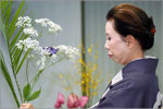 Master-class of Ikebana