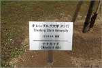 Memorial sign with tree – OSU symbol (rowan-tree) in Hiroshima University Park