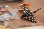 Origami master class