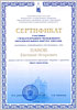 Сертификат Панова Е.И., Оренбург, 2016