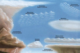 Схематический рисунок наиболее типичных форм облаков